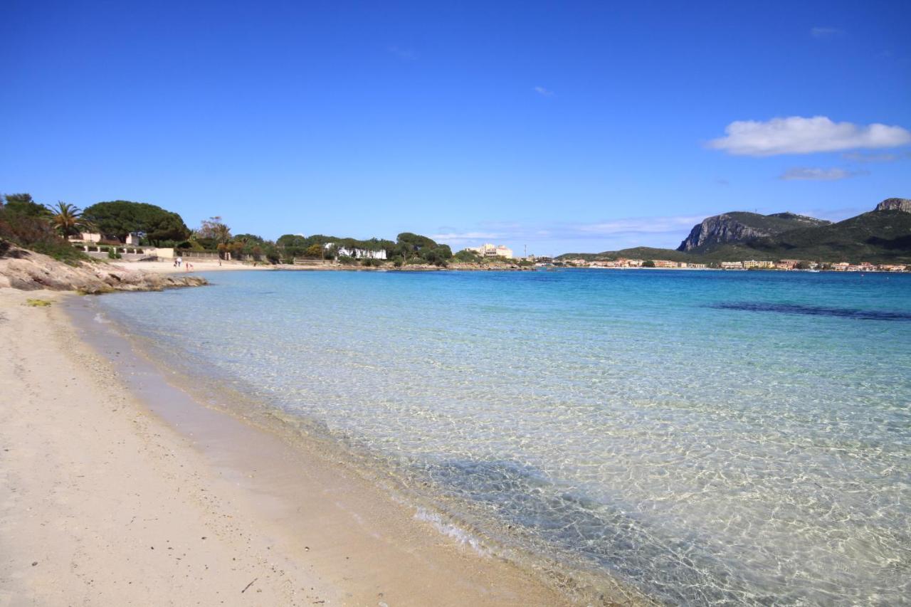 Appartamento Mirto Golfo Aranci Dış mekan fotoğraf